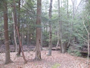 VLUU L200 / Samsung L200