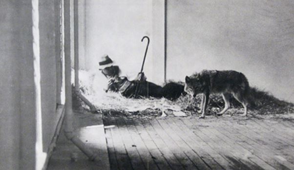 i like americans and aericans like me