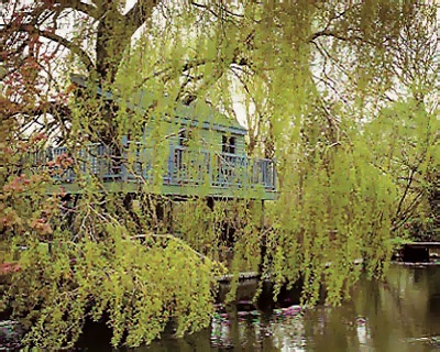 treehouse-riversidetreehouse