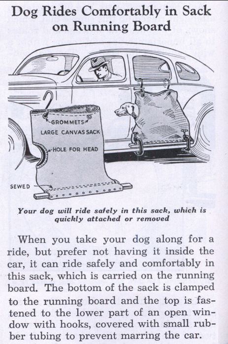 dog sack