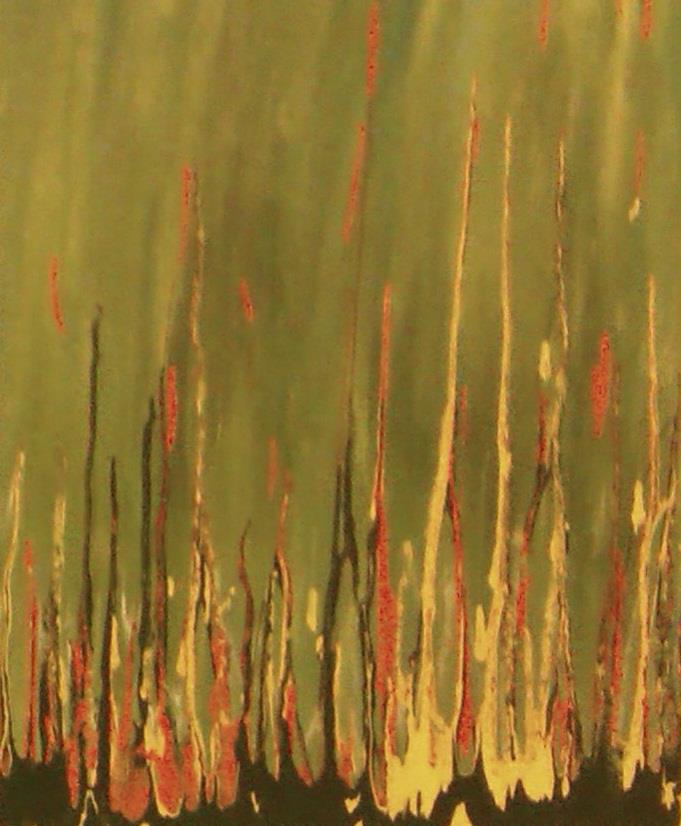 559057_478274915549708_363577273_n