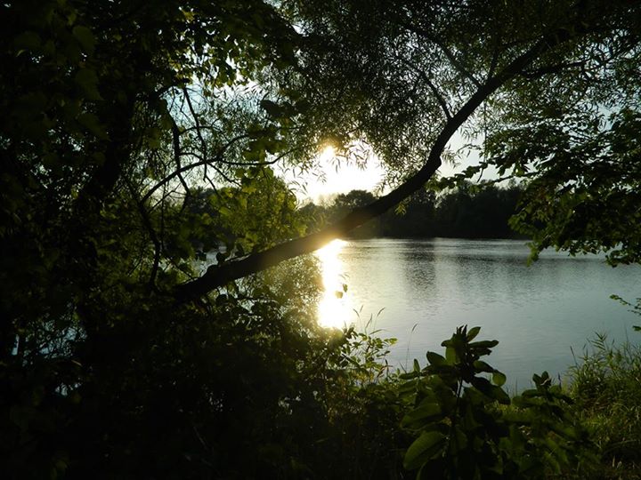 1005494_10101669046683982_1365326556_n (1)