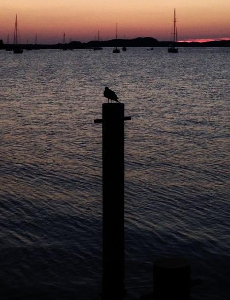 1175738_10101658101079062_629743053_n