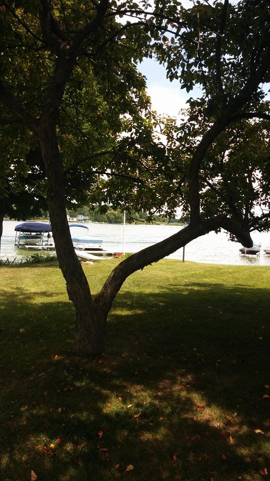 10487461_10102367189814552_2814508287914366548_n