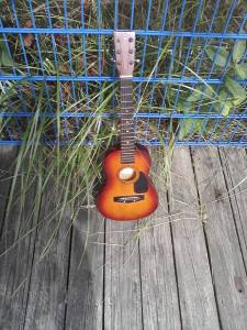 10636057_10102439268009272_9144698436782758230_n