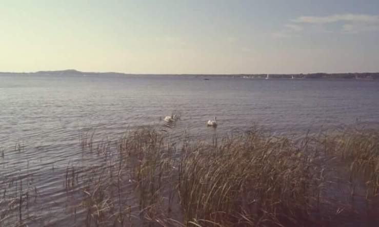 14212768_10104196655196262_6960870723444174031_n