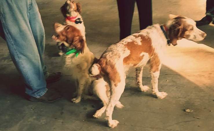 14370247_10104248391226842_5267629435325884737_n