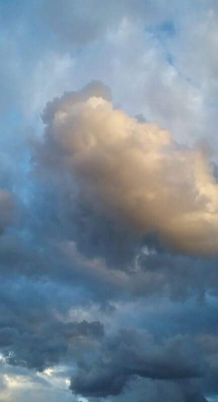 14492381_10104253696115802_5930418027373460835_n