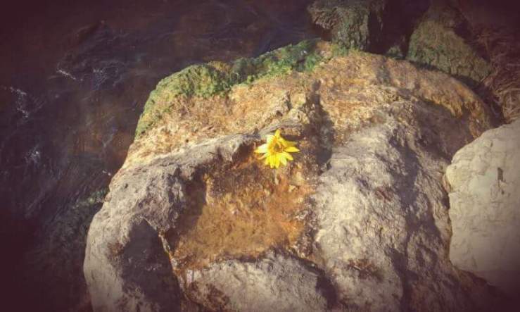 14495406_10104271419707582_7931355920795527639_n