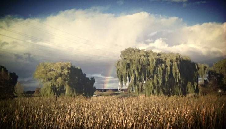 14715565_10104330489705832_629883442092708813_o