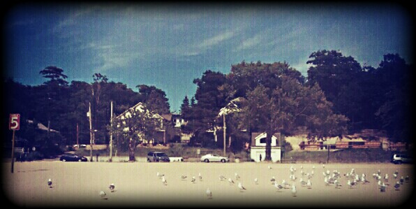 PicsArt_06-21-08.50.13
