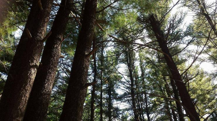 21458272_10105550236124232_4716650888353102614_o