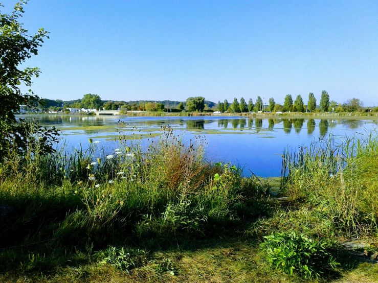 21765785_10105594599085502_8635624152882452006_o