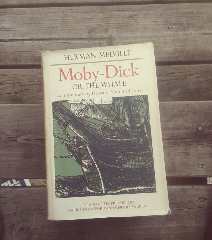 23319409_10105735934253692_7588991429152557648_n